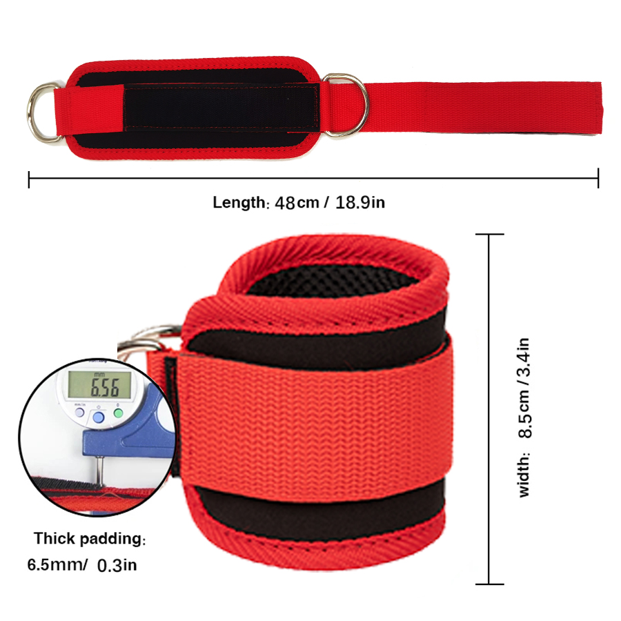 フィットネスアンクルストラップ調節可能な D リングサポート - D Ring Strap のレビューと価格